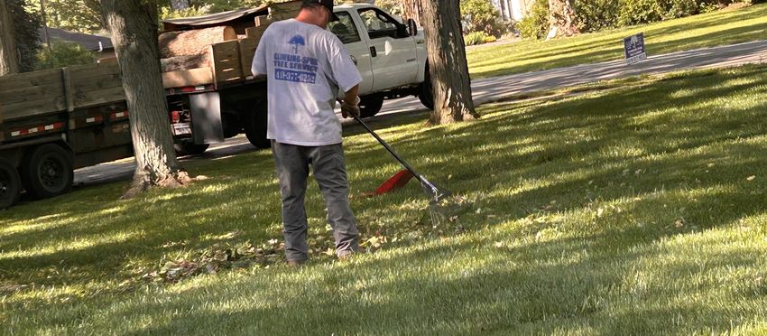 A crew member in a white T-shirt raking a freshly cut lawn, with a dump truck loaded with branches parked behind him under tall trees.